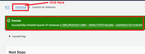 Instances Successfully Launched
