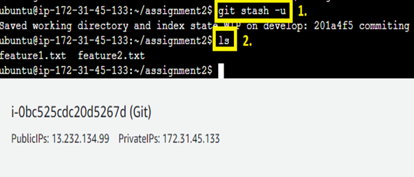 Stash develop.txt file