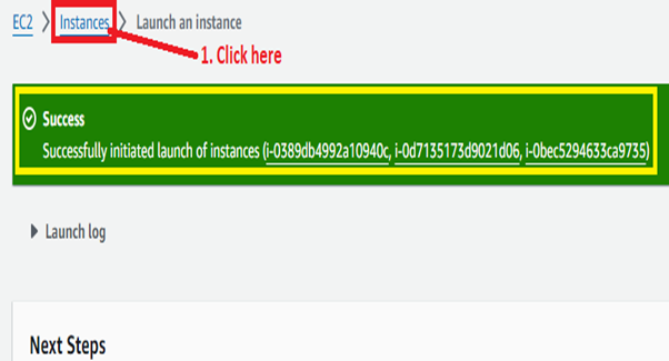 Instances Launched