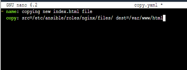 Paste the path to the copy.yaml file
