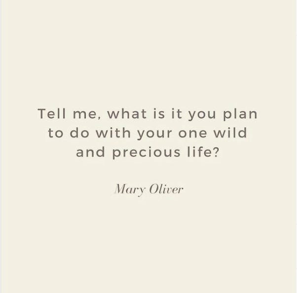 Mary Oliver — Tell me, what is it you plan to do with your one wild and precious life?