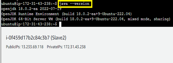 Java Version on “Slave2”