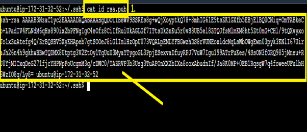 cat id_rsa.pub