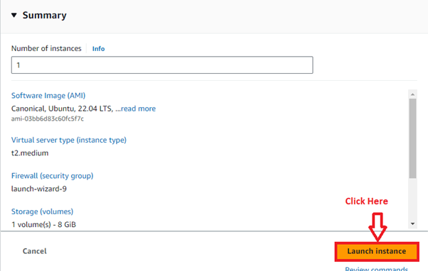 Click on “Launch Instance”