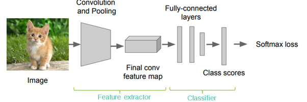 Convolutional neural networks CNN architecture feature extractor classifier