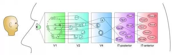 An image describing how humans recognize objects and scene.