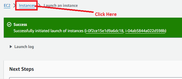 Instance Successfully Launched