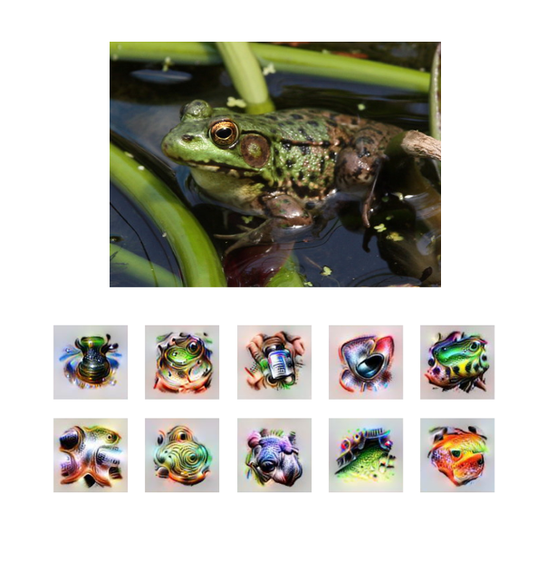 Image of frog with 10 visualization produced from it by computer vision. User selects 4 of the 10 which best represent frog.