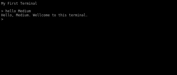 Basic Terminal Website Screen with basic commands