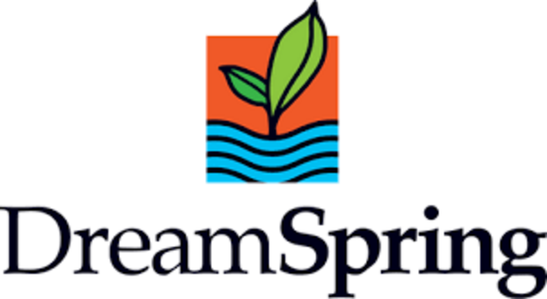 DreamSpring logo
