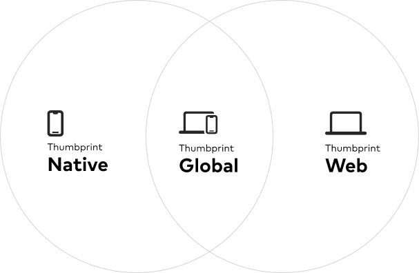 Venn diagram showing the native and web components overlap into the global library