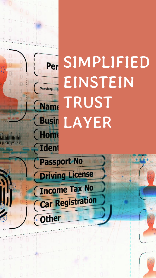 “Einstein Trust Layer” Simplified