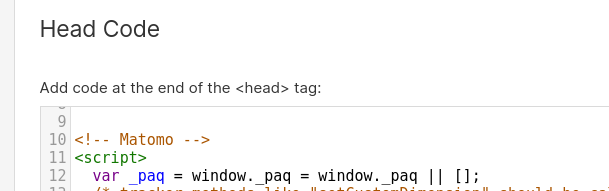 Paste Matomo code to Webflow settings