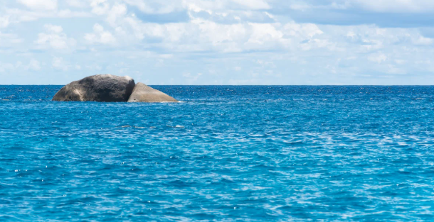 GIS on Medium - Decoding Ocean Data with GIS: A Complete Guide Using GISBox