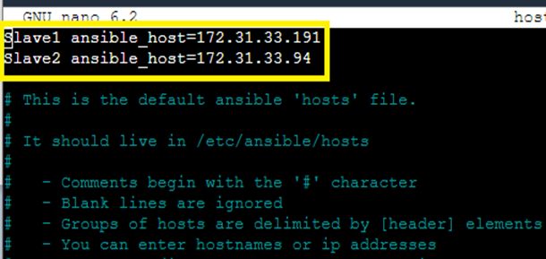 Paste the “Ansible Hosts” IP Addresses Here