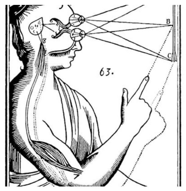 Medieval medical illustration of a man.