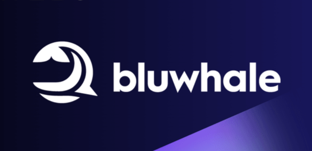 Navigating the Digital Ocean with Precision: Bluwhale AI