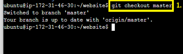 git checkout master