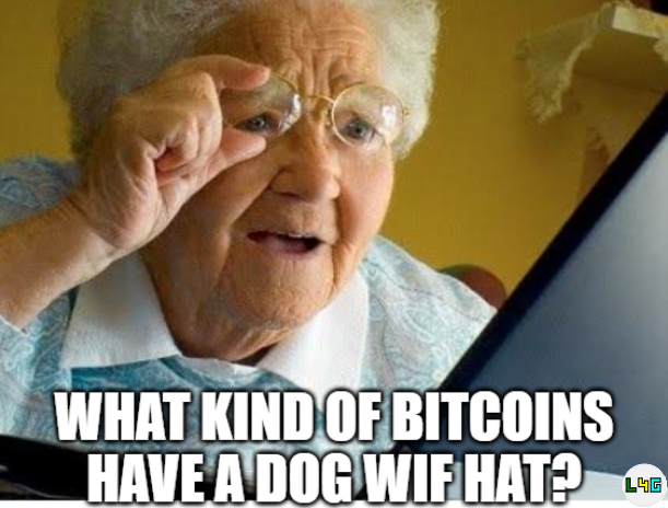 “old lady at computer” image macro asking “what kind of bitcoins have a dog wif hat?”