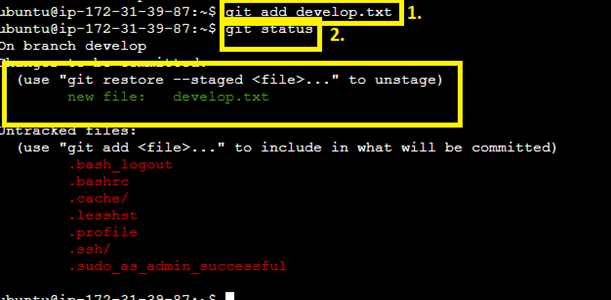 Stage the develop.txt file