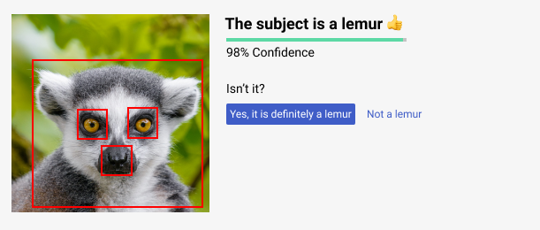 An AI model that identifies that a picture of a lemur indeed includes a lemur