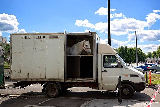 Specialized Equine Transportation in California