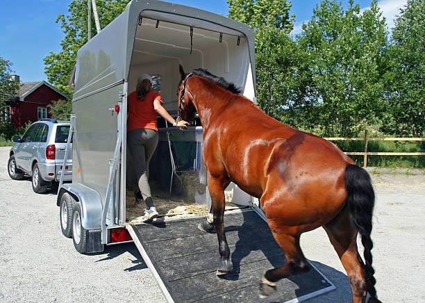 Horse Hauling california