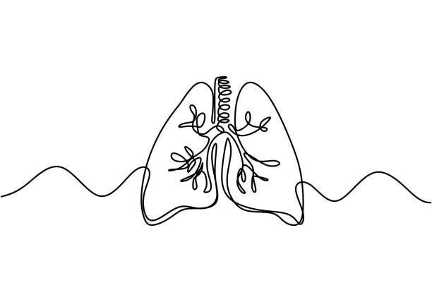 What is a dysregulated nervous system. Line drawing of lungs