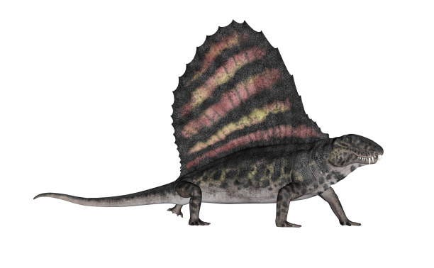 Artistic depiction of Dimetrodon