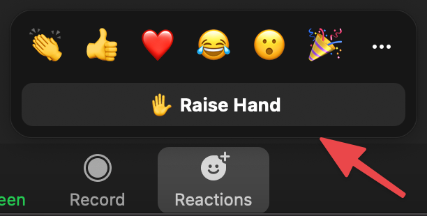 Zoom raise hand features