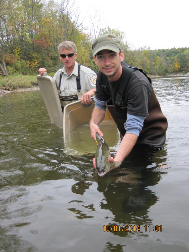 andrew-harbicht-concordia-releasing-radio-tagged-vit-b1-boosted-salmon-in-boquet-river-fall-2014-also-in-photo-david-hand-usfws-r1-photo-usfws