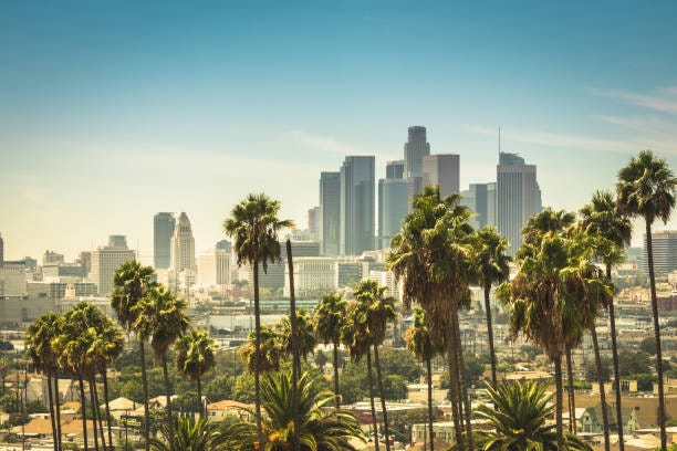 Palm trees and the city skyline of Los Angeles