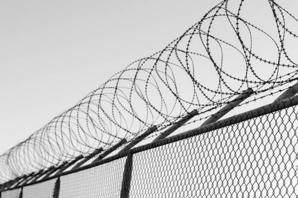 Image of a razor wire fence against a gray sky
