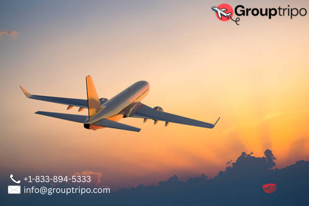 Is Alaska Airlines Group Travel Good for Families-