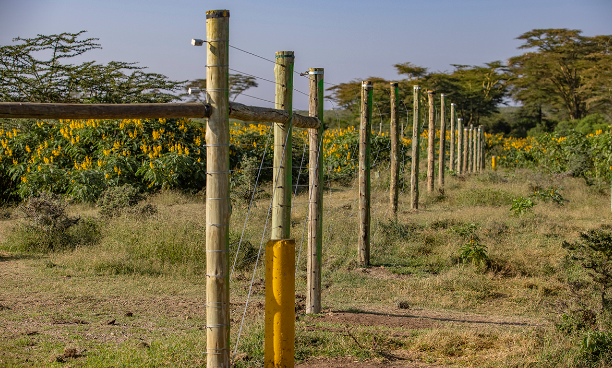 Goshen Acquisitions LTD is a Kenyan real estate investment and trading company that sells land in Nanyuki town.