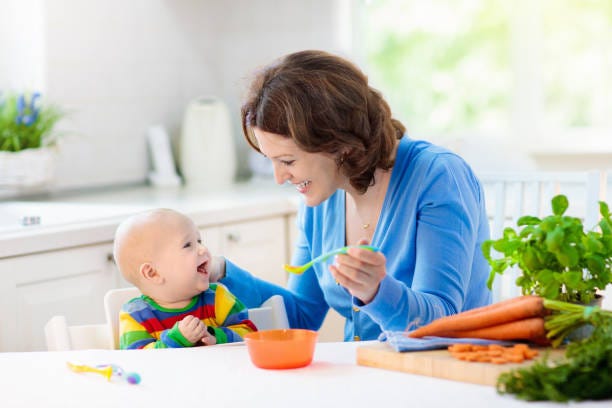 https://www.thebabysmiles.com/importance-of-baby-food-during-the-first-year/