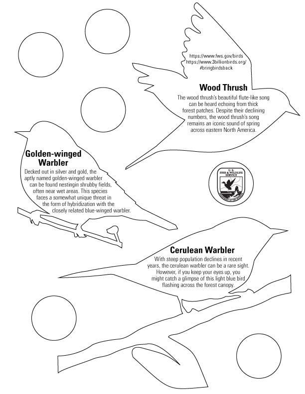 This image shows black and white silhouettes of a cerulean warbler, golden-winged warbler and wood thrush. Text within the silhouettes includes information about each species — for example, information about habitat and threats.