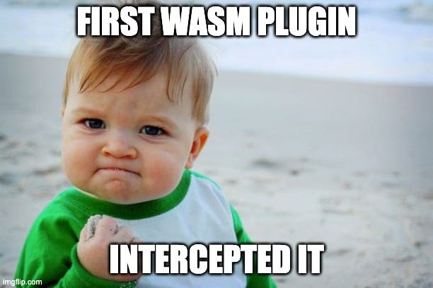 Success kid for first WASM plugin