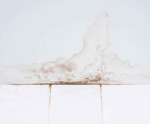 Drywall Water Damage