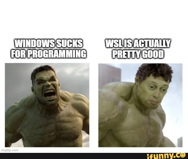 A meme about programming in WSL