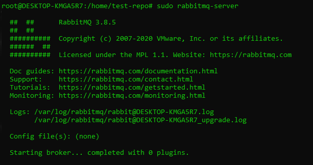 rabbitmq server in a terminal window