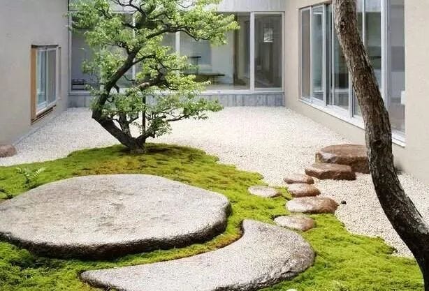 Slave Wood in Japanese Zen Garden