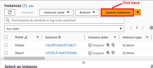 Click on Launch Instances