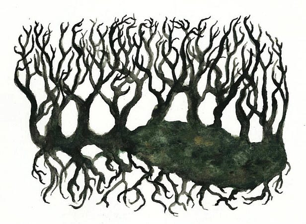 A drawing of a root.