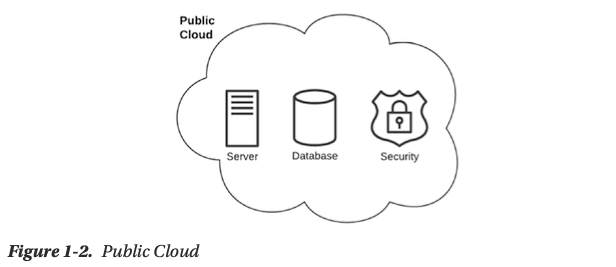 Figure 1–2. Public Cloud