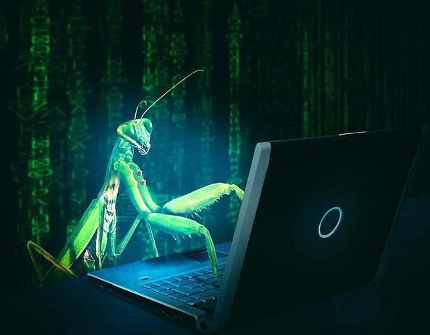 Image of a mantis typing something on a laptop