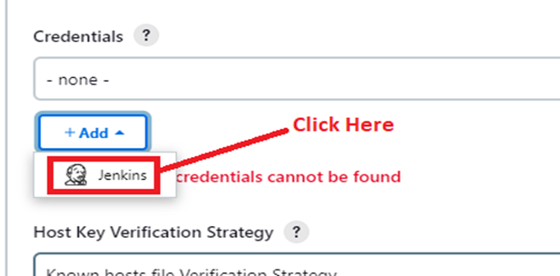 Click on “Jenkins” Option