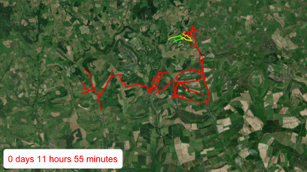 Taking the Cerne Abbas Walk, screenshot of an animated GIF at a specific point of time with lines drawn on a map