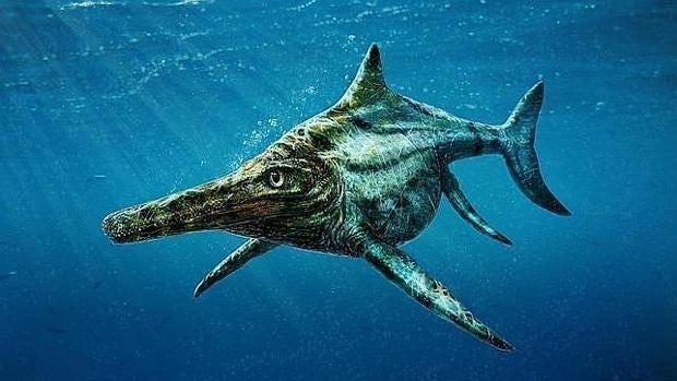 A depiction of a ichthyosaurus