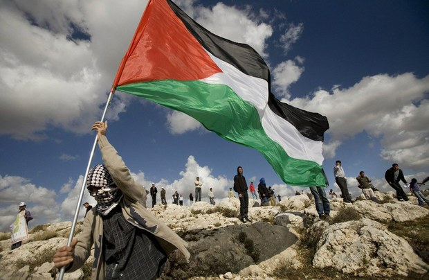 A imagem colorida na qual mostra um palestino segurando e erguendo uma bandeira da Palestina em um cenário de céu nublado e pedras ao ar livre.